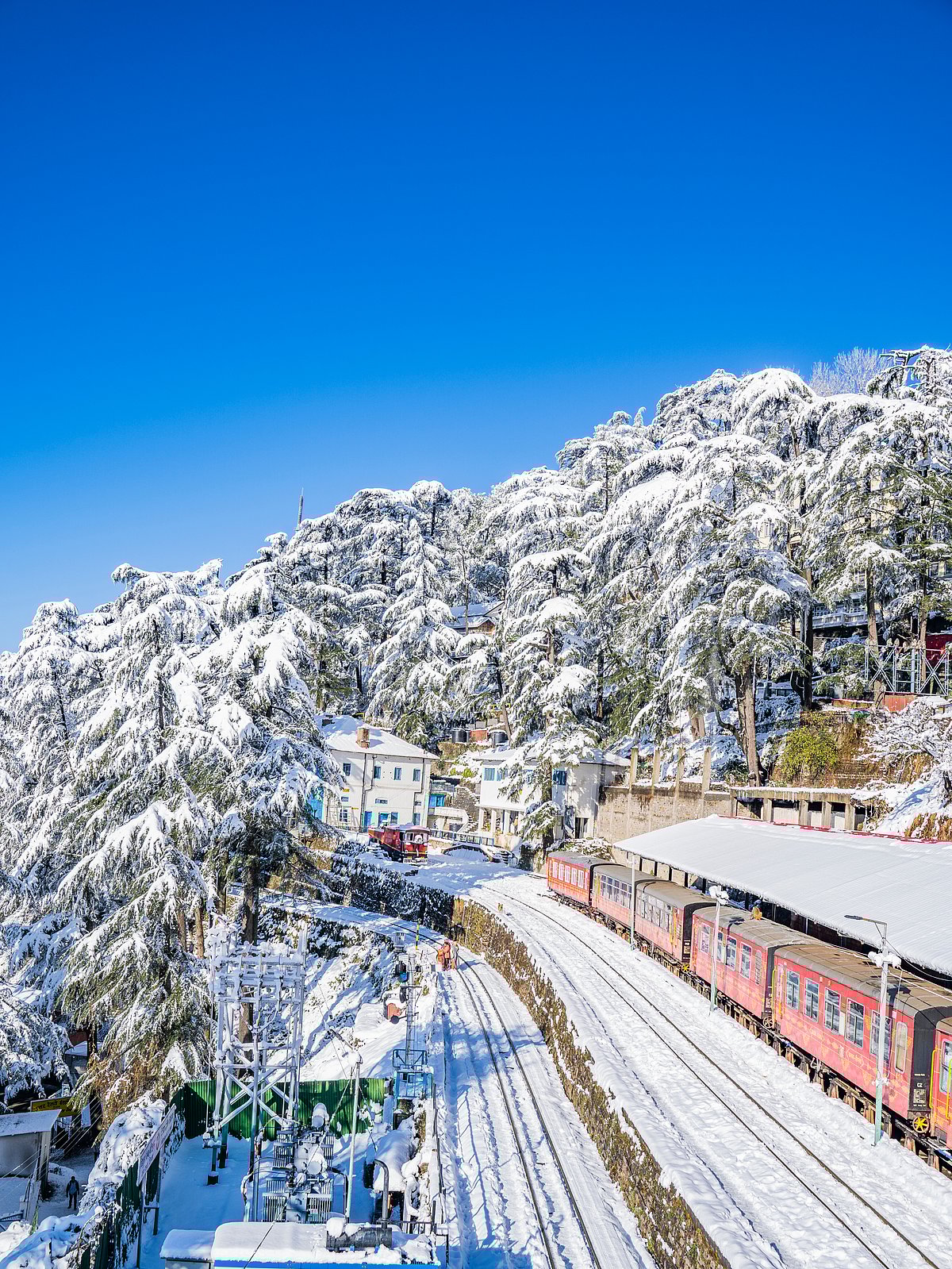 shimla Tour package